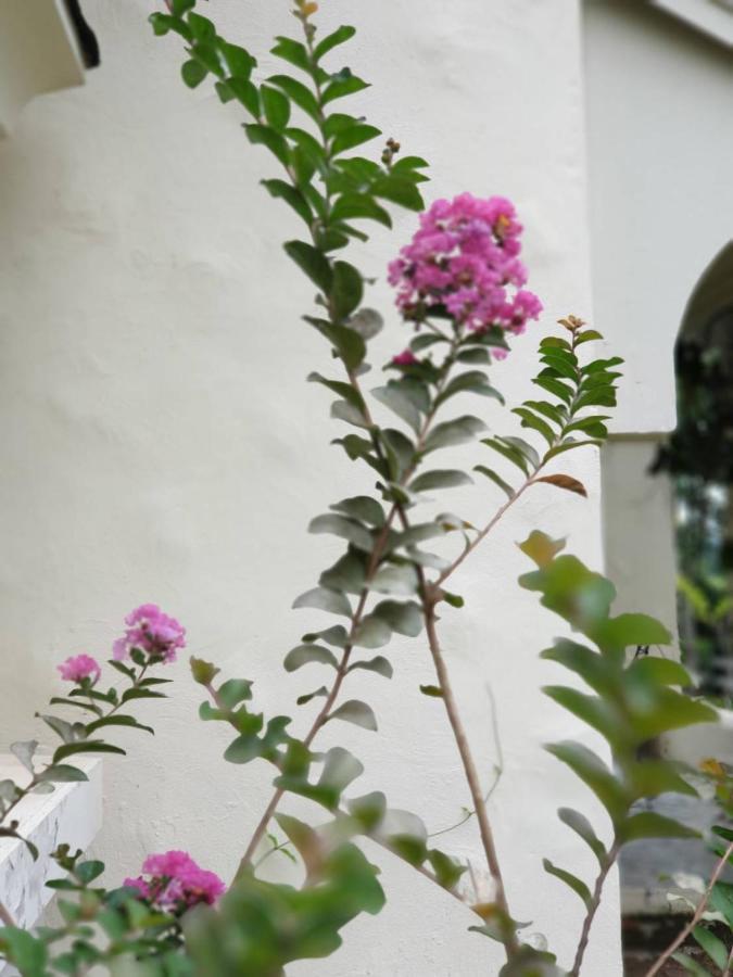 Baan Rub Lom By Jane Apartment Pakchong Luaran gambar